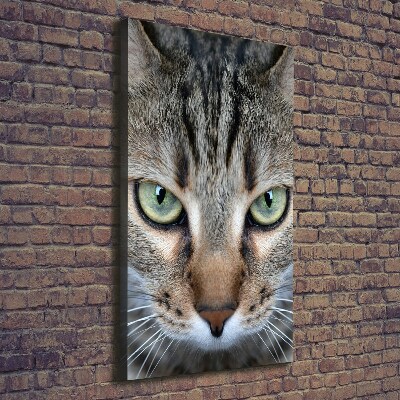 Foto auf leinwand vertikales Katzenaugen