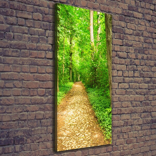 Wandbild vertikales Pfad im Wald