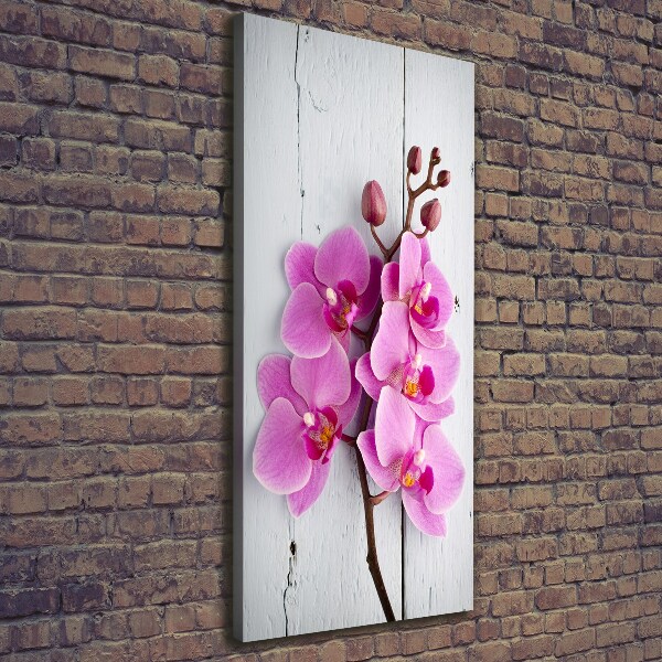Foto auf leinwand vertikales Rosa Orchidee