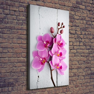 Foto auf leinwand vertikales Rosa Orchidee