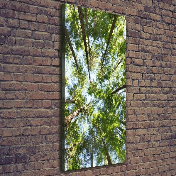 Foto auf leinwand vertikales Baumkrone
