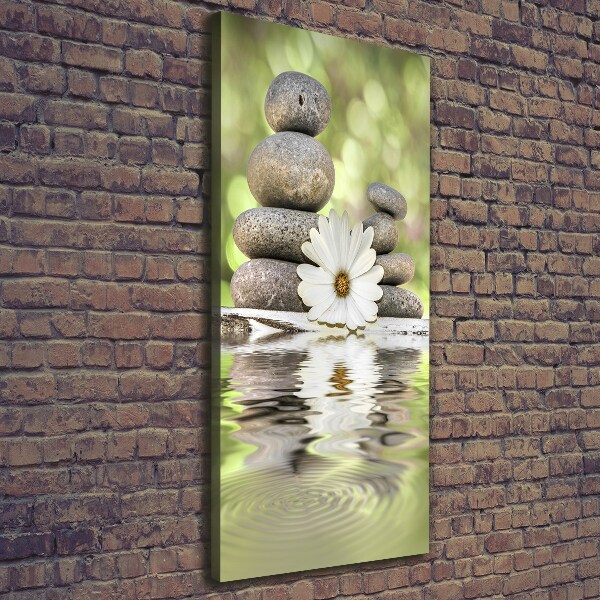 Foto leinwand vertikales Steine ​​und Blumen