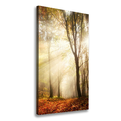 Wandbild vertikales Wald im Herbst