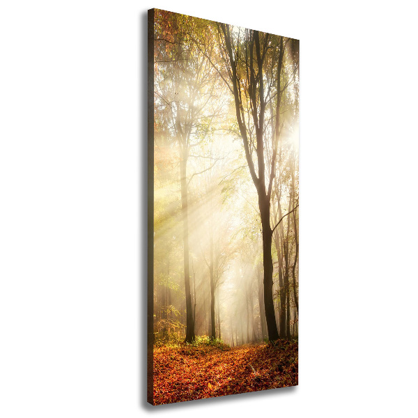 Wandbild vertikales Wald im Herbst
