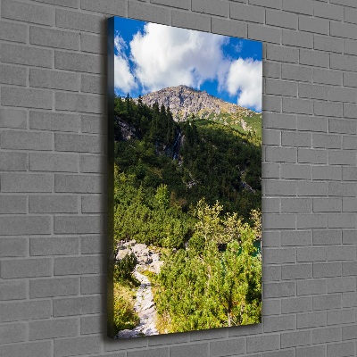 Foto leinwand vertikales Das Meeresauge der Tatra-Berge