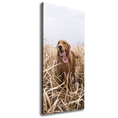 Foto leinwand vertikales Golden Retriever