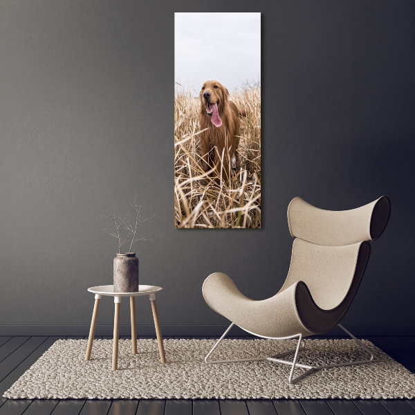 Foto leinwand vertikales Golden Retriever