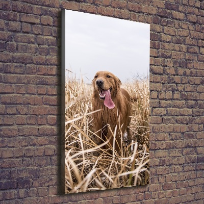 Foto leinwand vertikales Golden Retriever