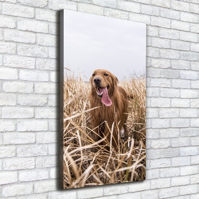 Foto leinwand vertikales Golden Retriever