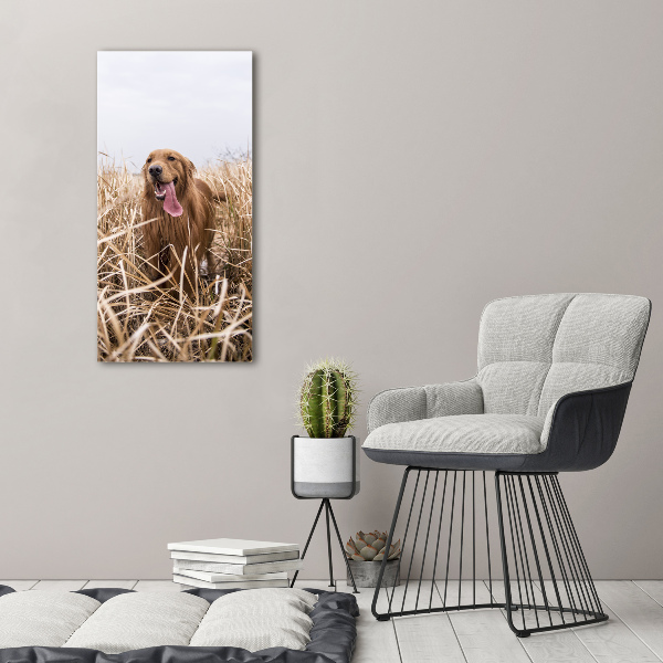 Foto leinwand vertikales Golden Retriever