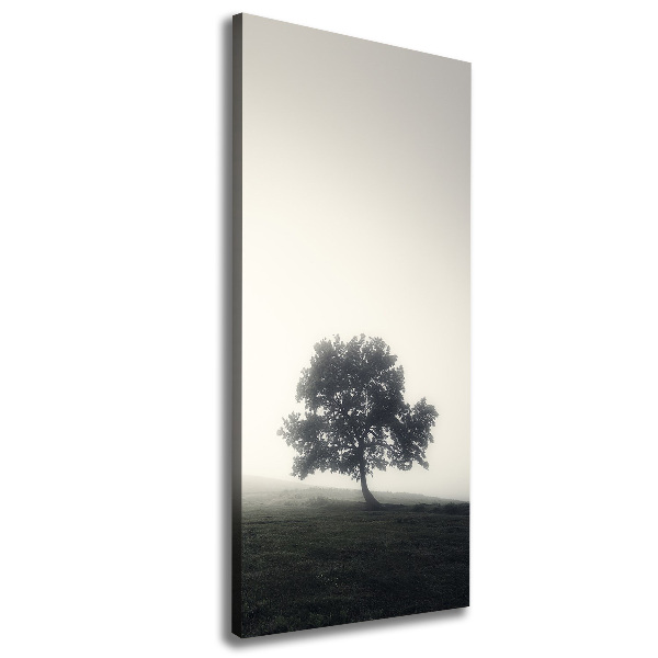 Foto leinwand vertikales Baum im Nebel