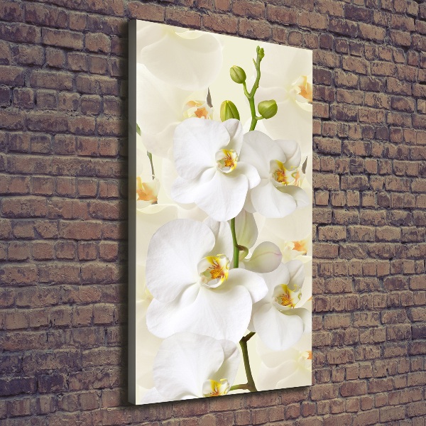 Wandbild vertikales Weiße Orchidee