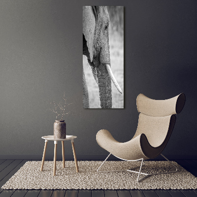 Wandbild vertikales Elefant
