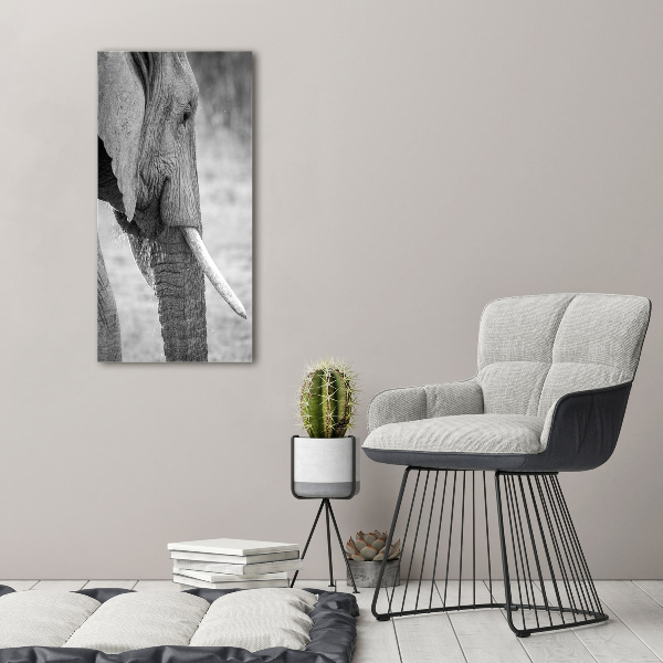 Wandbild vertikales Elefant