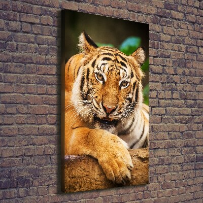 Foto leinwand vertikales Bengal-Tiger