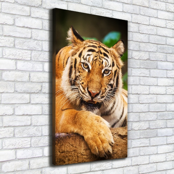 Foto leinwand vertikales Bengal-Tiger