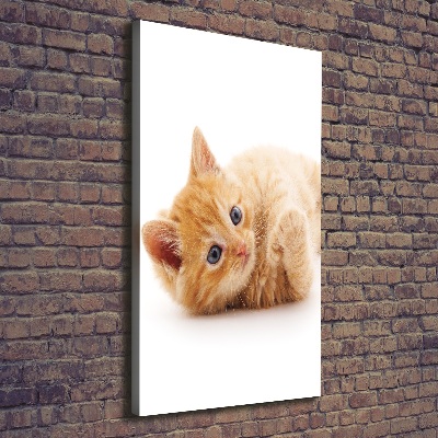 Foto leinwand vertikales Kleine rote Katze
