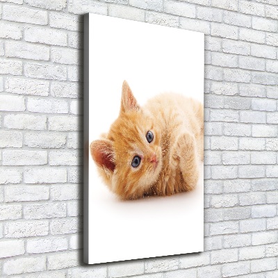 Foto leinwand vertikales Kleine rote Katze