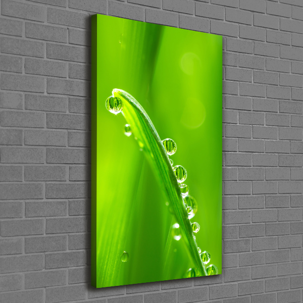 Foto leinwand vertikales Grashalme