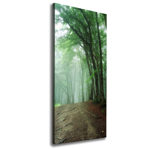Wandbild vertikales Nebel im Wald
