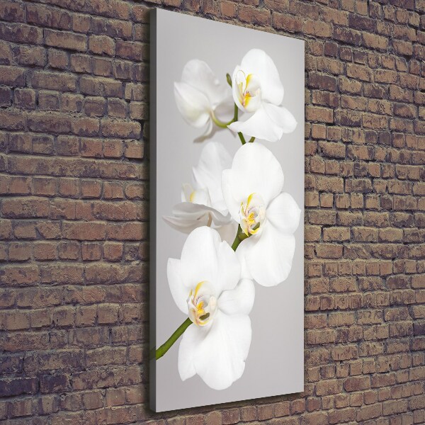 Foto auf leinwand vertikales Weiße Orchidee