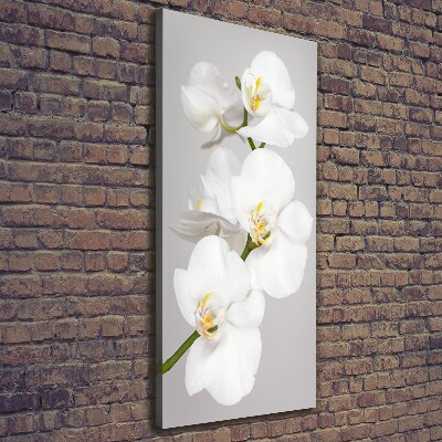 Foto auf leinwand vertikales Weiße Orchidee