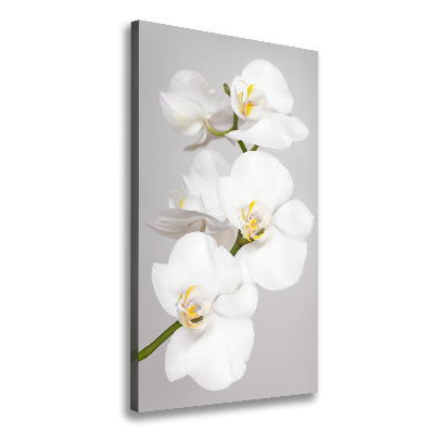 Foto auf leinwand vertikales Weiße Orchidee