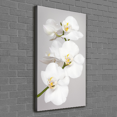 Foto auf leinwand vertikales Weiße Orchidee
