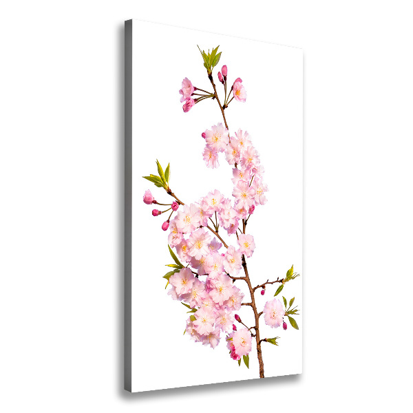 Foto leinwand vertikales Kirschblüten