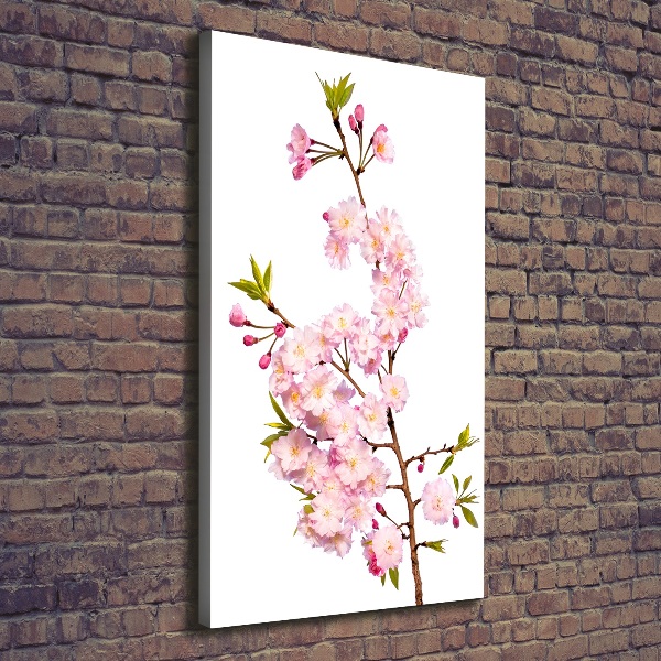 Foto leinwand vertikales Kirschblüten