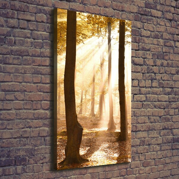 Foto leinwand vertikales Wald im Herbst