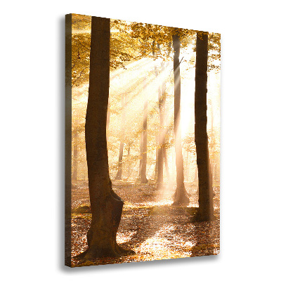 Foto leinwand vertikales Wald im Herbst