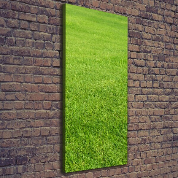 Foto auf leinwand vertikales Grünes Gras