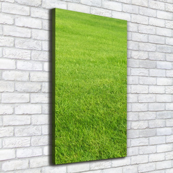 Foto auf leinwand vertikales Grünes Gras