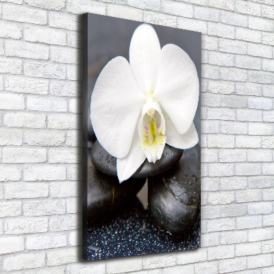 Foto leinwand vertikales Orchidee und Steine