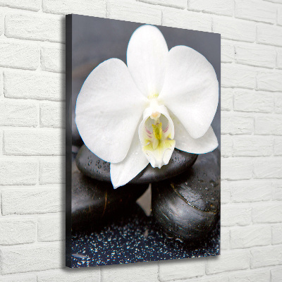 Foto leinwand vertikales Orchidee und Steine