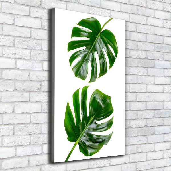 Wandbild vertikales Monstera