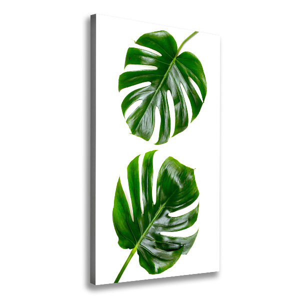 Wandbild vertikales Monstera