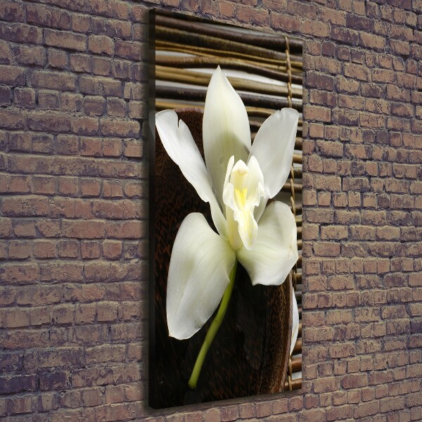 Foto auf leinwand vertikales Orchidee