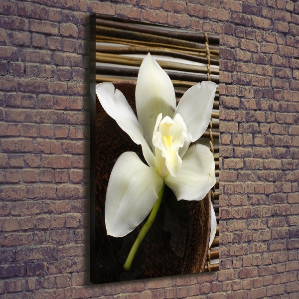 Foto auf leinwand vertikales Orchidee