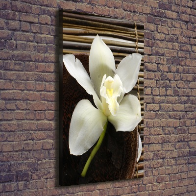 Foto auf leinwand vertikales Orchidee