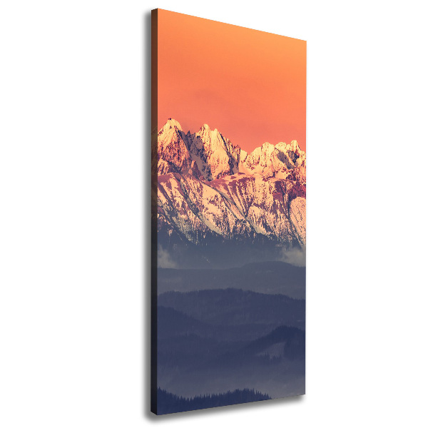 Foto leinwand vertikales Panorama der Tatra-Berge