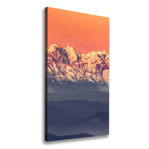 Foto leinwand vertikales Panorama der Tatra-Berge