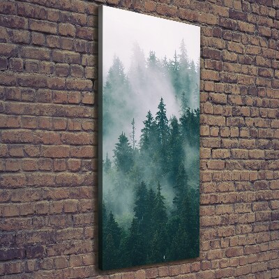 Foto auf leinwand vertikales Nebel über dem Wald