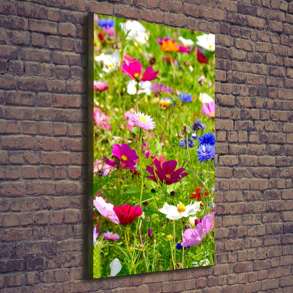 Foto leinwand vertikales Wildblumen