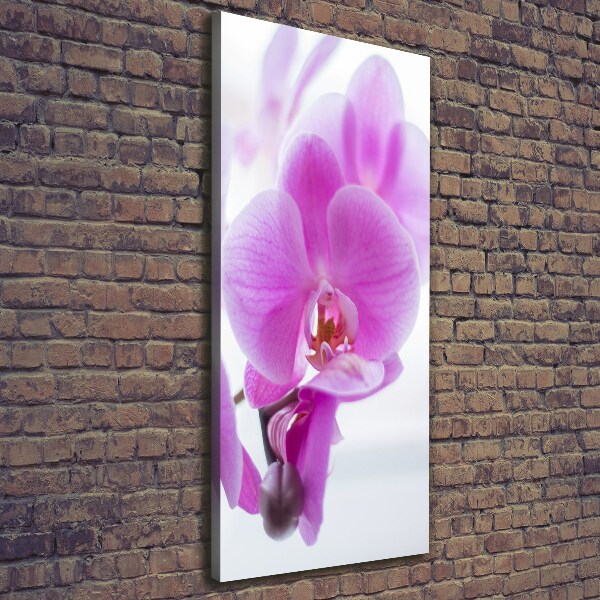 Foto auf leinwand vertikales Rosa Orchidee