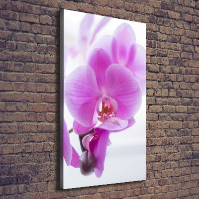 Foto auf leinwand vertikales Rosa Orchidee