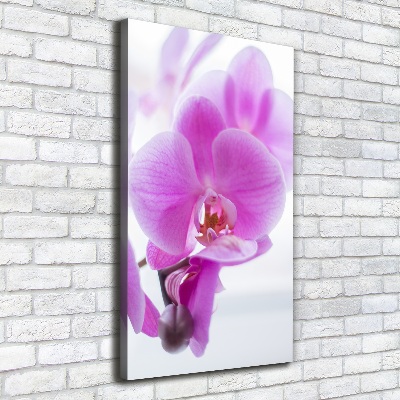 Foto auf leinwand vertikales Rosa Orchidee