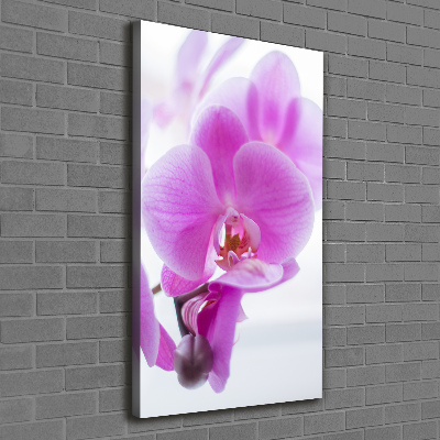 Foto auf leinwand vertikales Rosa Orchidee