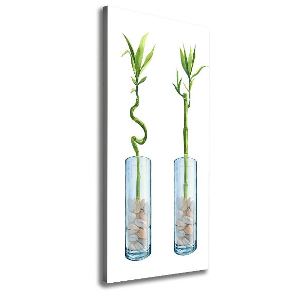 Foto leinwand vertikales Bambus im Topf